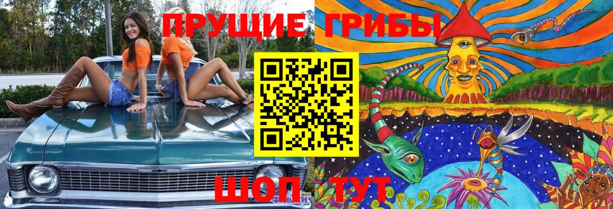 Унеча  Галлюциногенные грибы Cubensis  Вход с VPN  как найти   Галлюциногенные грибы GOLDEN TEACHER 